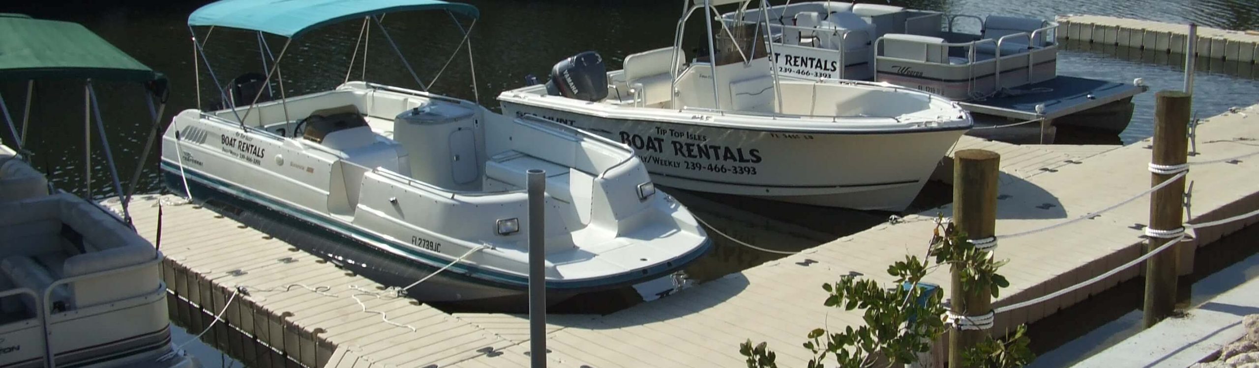 View of 4 boats attached to floating dock