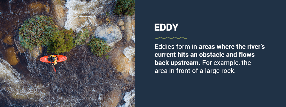 Eddy