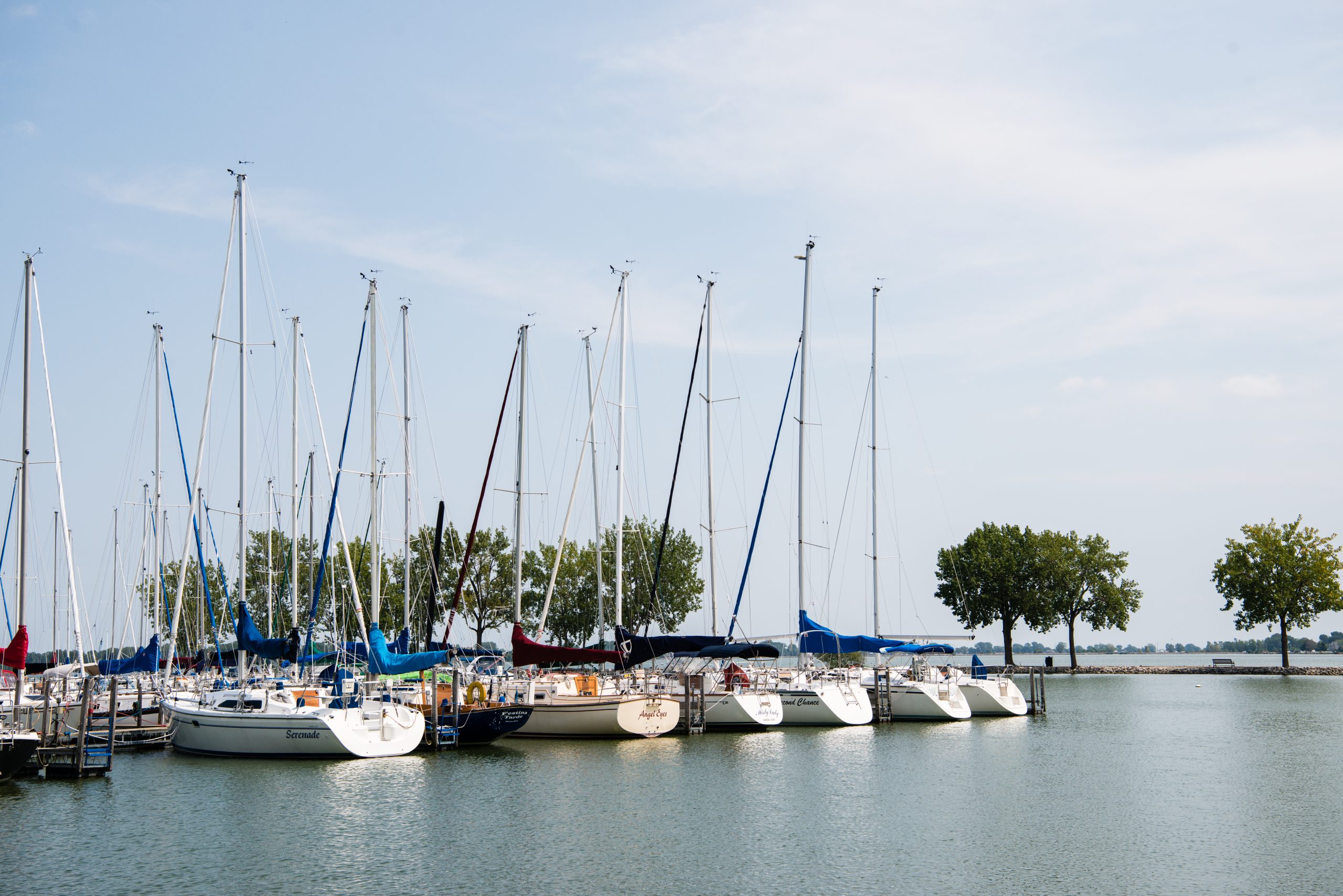 Boats at the marina