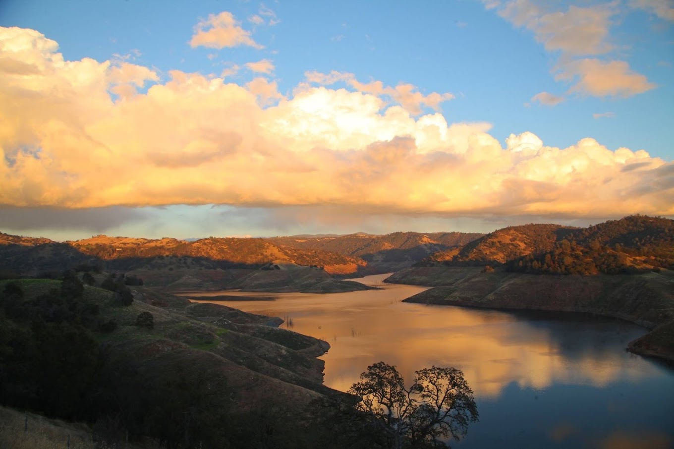 EZ Dock California