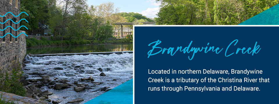 Brandywine Creek