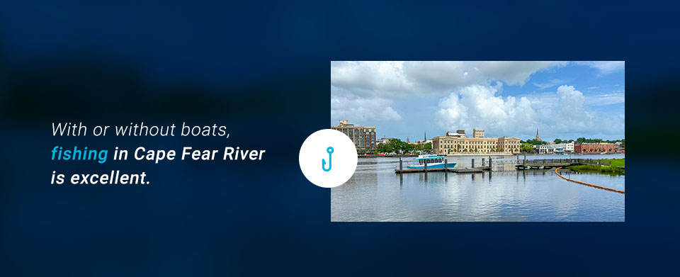 Cape Fear River Activities
