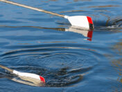 A Guide to Docks for Rowing Shells and Larger Canoes