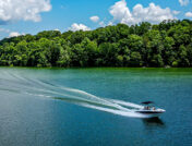 Exploring Tennessee's Great Lakes: A Boater's Guide
