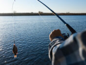 Fishing Regulations in Tennessee: What Every Angler Should Know